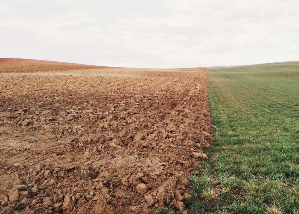 The parable of the sower summary